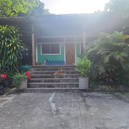 Hostel Hammock Plantation El Zonte Exterior foto